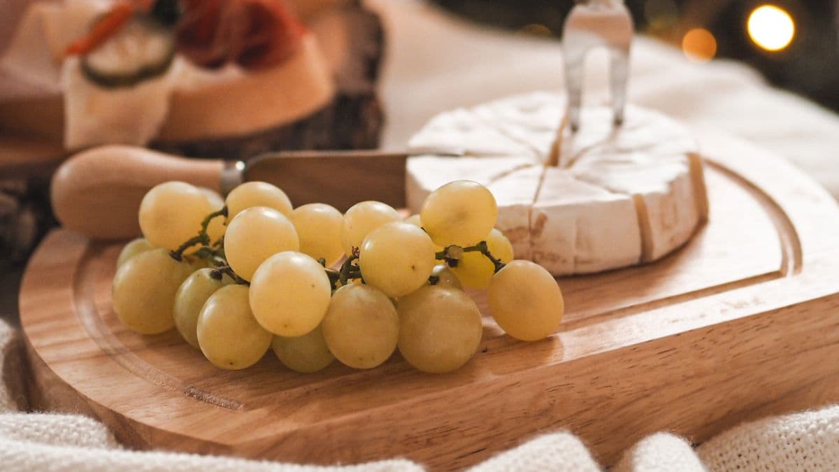 Skrytý potenciál bambusu