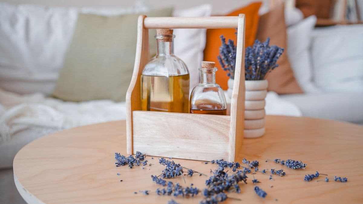 Gumovníkové dřevo a jeho význam