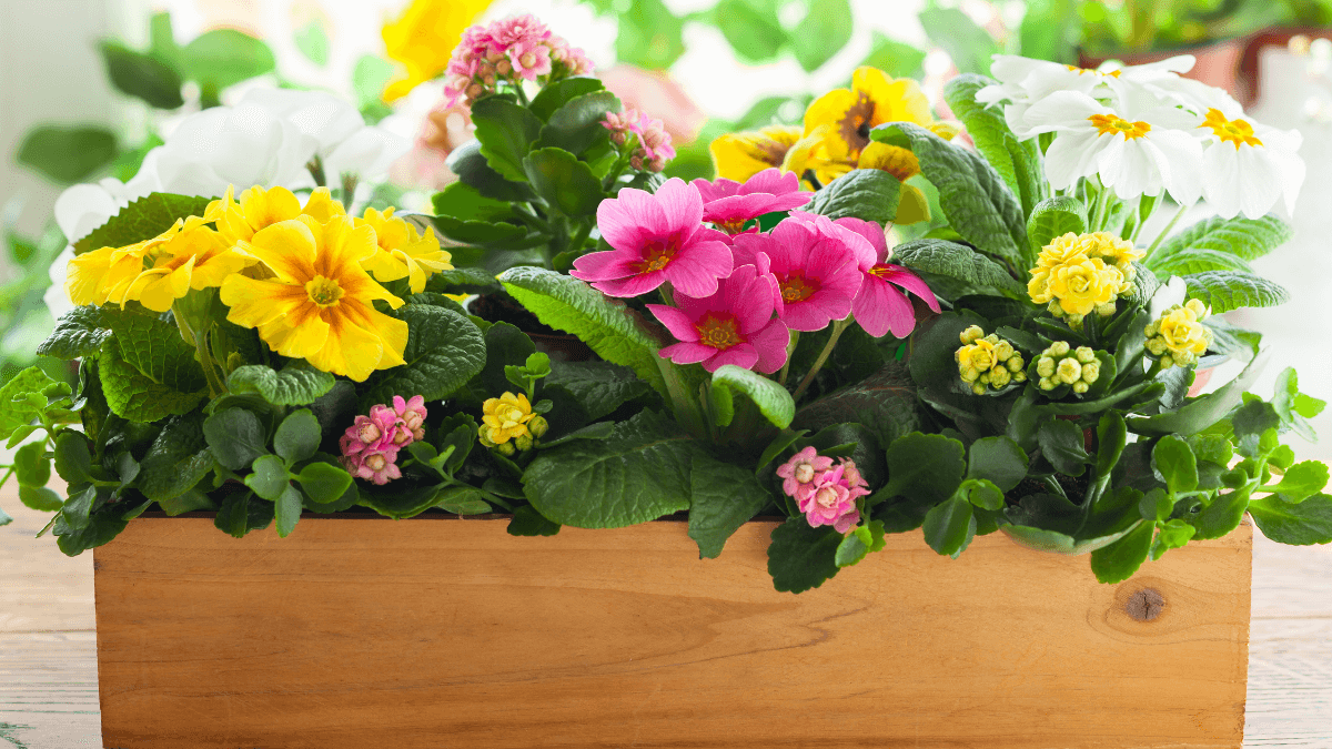 Výroba dřevěného květináče a truhlíku svépomocí