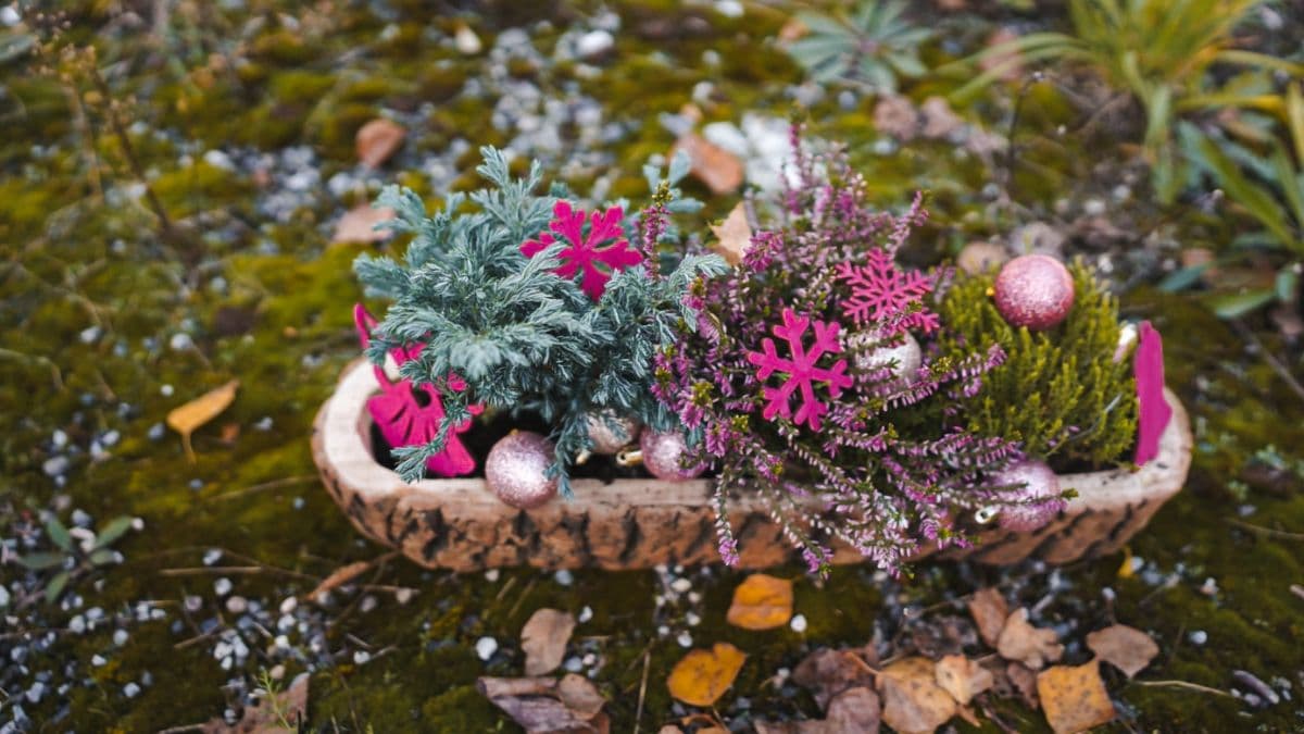 6 snadných kroků k výrobě vánočního truhlíku