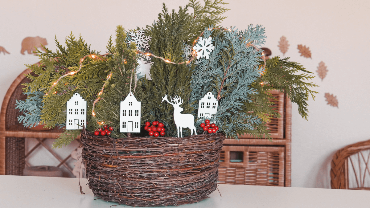 7 tipů, co si zasadit v zimě do truhlíku