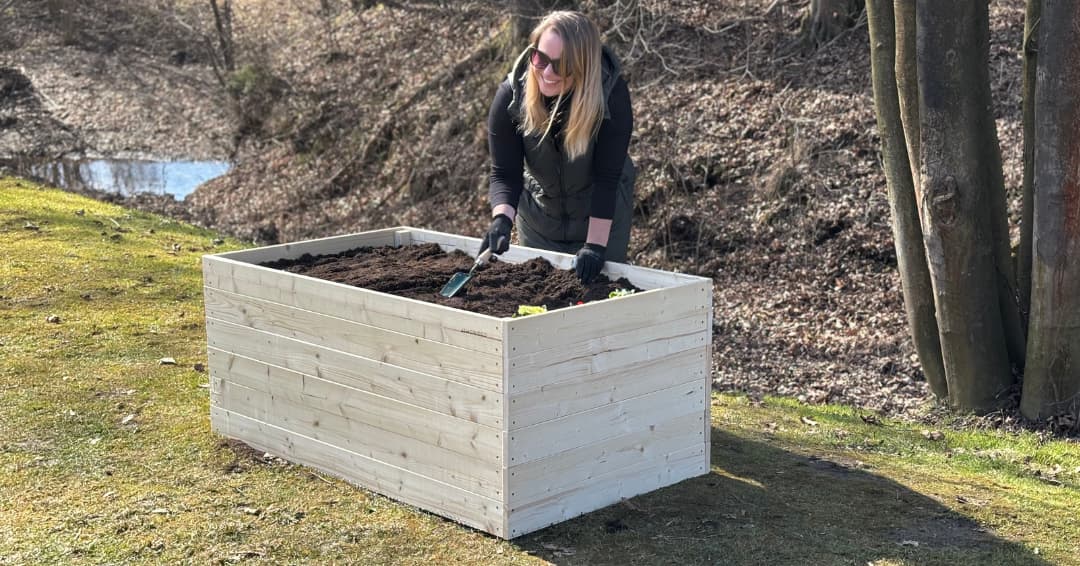 Výsadba v říjnu - proč a co můžete ještě vysadit