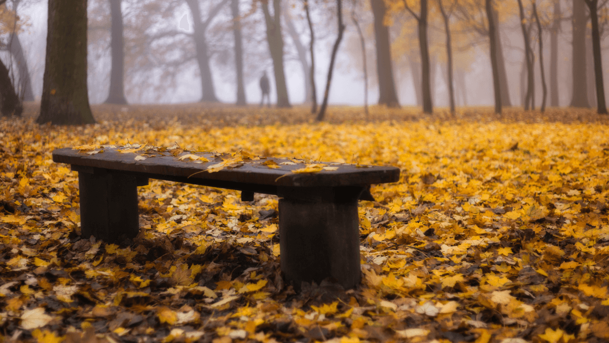 Bojujeme proti podzimní únavě