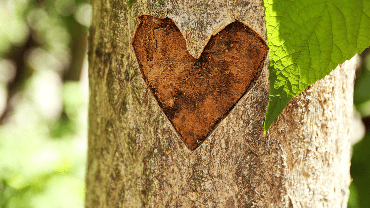 Ručně vyřezávané kousky ze dřeva
