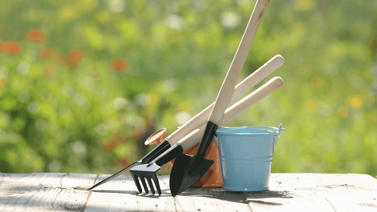 10 rad na správné zazimování zahrady