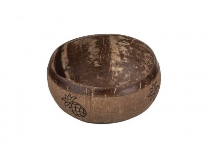 Kokosová miska s ananasem