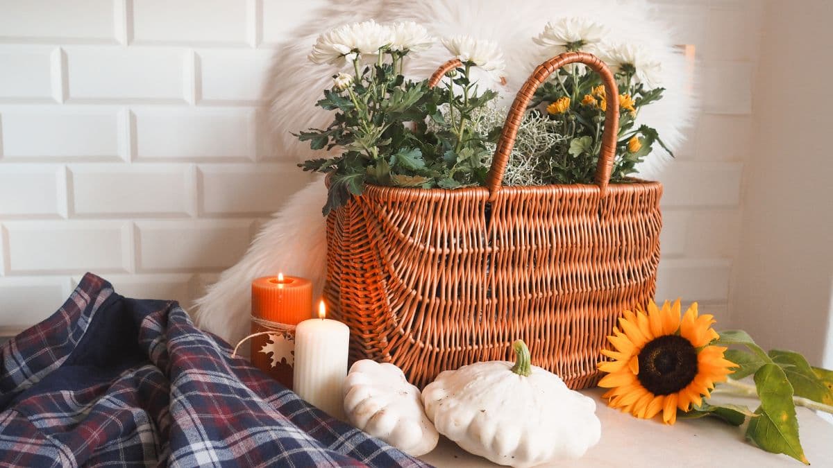 Kúzlo jesene vo vašom kvetináči: DIY návod