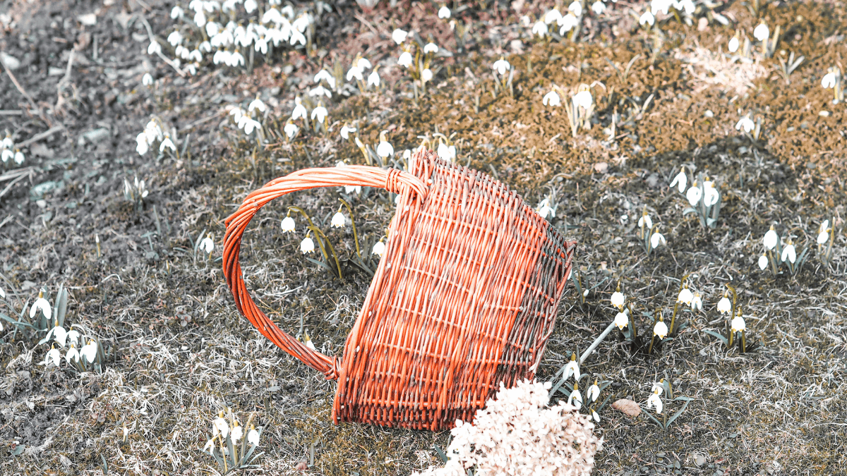 Pletenie košíkov z vŕbového prútia