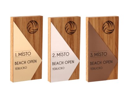 Beach open 1 (1)