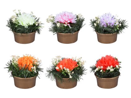 Květina CHRYZANTÉMA PODZIM aranžmá v květníku 17cm