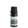Éterický olej Eukalyptus globulus 10 ml – Nobilis Tilia