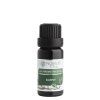 Éterický olej Kajeput 10 ml – Nobilis Tilia