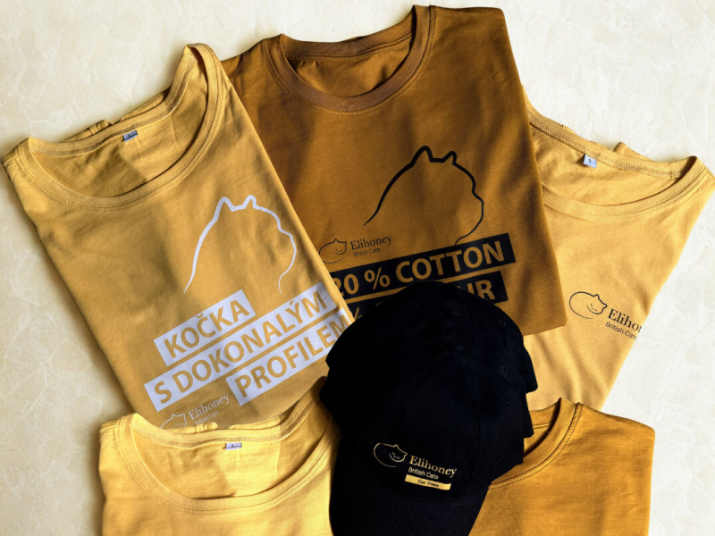 Festivalová trička s potiskem