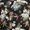 blacktropical