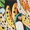 toucans