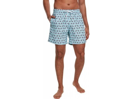 Šortky plavky s melounovým vzorem Urban Classics Urban Classics