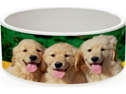 786F8D59 E558 4B91 96A2 7704B6C36222 AC81AE52 FB32 491E 87F1 C6E4A56F8535