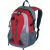 Backpack Torent (Velikost 47 x 30 x 17 cm, Barva černá - šedá)