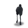 Dámská čepice Inuit Bobble s bambulí