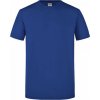 Kvalitně zpracované slim-fit tričko James and Nicholson (Barva černá, Velikost L)