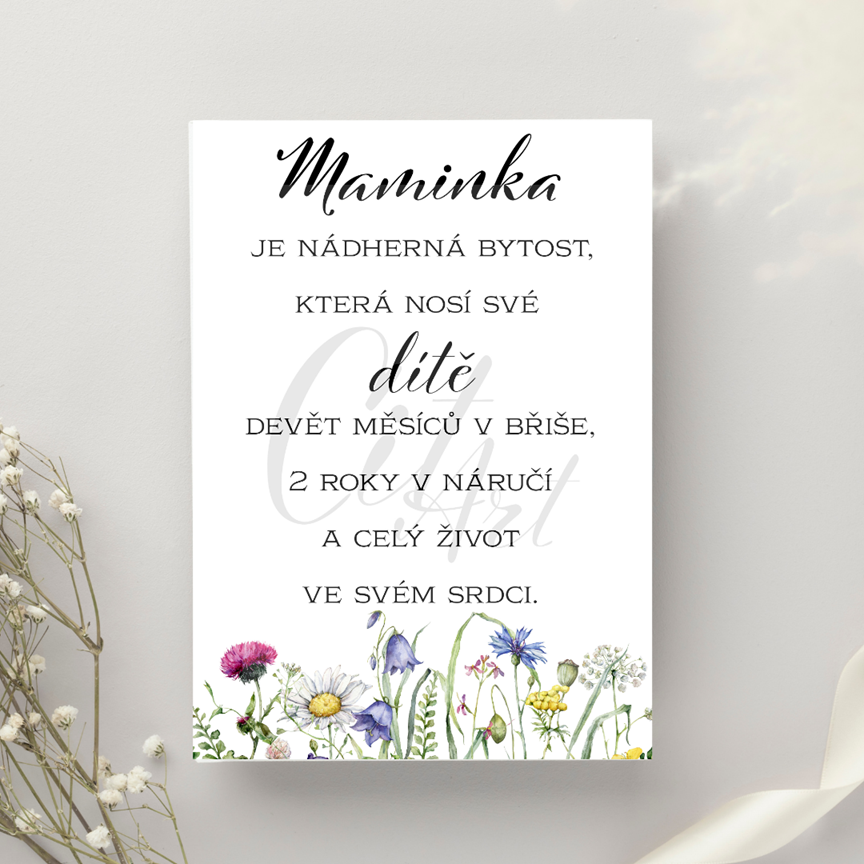 Mezinárodní den žen (8. března 2026): citáty o síle, něze a ženském srdci