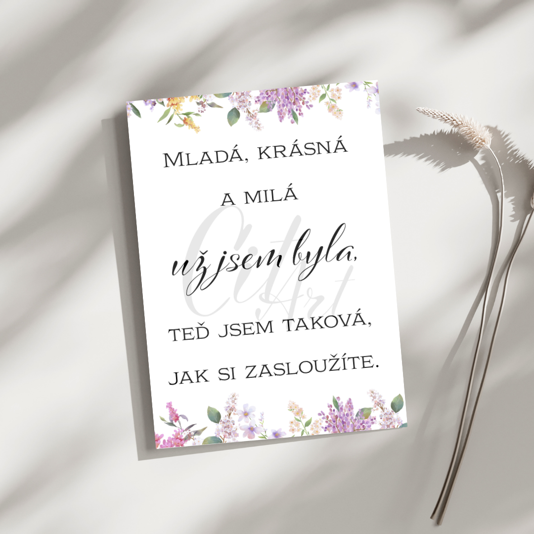 Vtipné citáty pro každý den i narozeninové oslavy