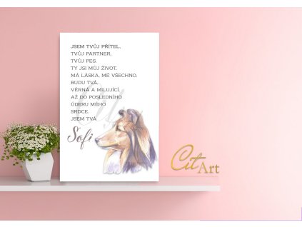 Screenshot 2025 02 11 at 18 18 52 Můj pes Whiteboard Canva