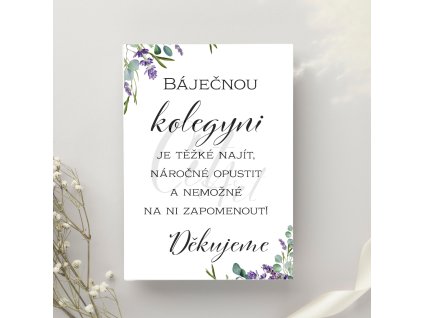 Báječnou kolegyni je těžké najít (1)