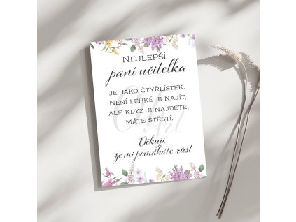 Nejlepší paní učitelka – možná jednou zapomenu něco z toho, co jste mě naučila. Na Vás ale nezapomenu nikdy Děkuji