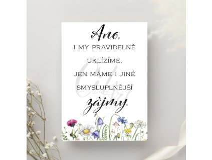Ano my pravidelně uklízíme, jen máme i jiné smysluplnější zájmy1