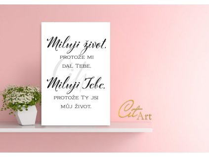 Screenshot 2025 02 06 at 17 08 35 Untitled design Whiteboard Canva