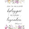 jen ta nejlepsí kolegyne se stane legendou kopie4 2