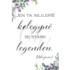 jen ta nejlepsí kolegyne se stane legendou kopie3 2