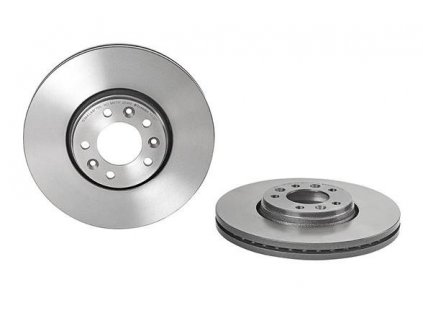 Brzdový kotouč přední Brembo pro Citroen C5 a Jumpy( 4249K0, 424924, 424925, 09A43011)