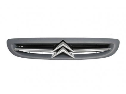 32337 mrizka chladice pro citroen xsara ii 09 00 7804k3 16 40 230o 1640230o maska