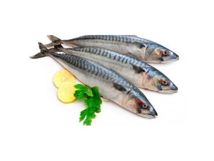 Makrela kuchaná  balení 1,2 Kg