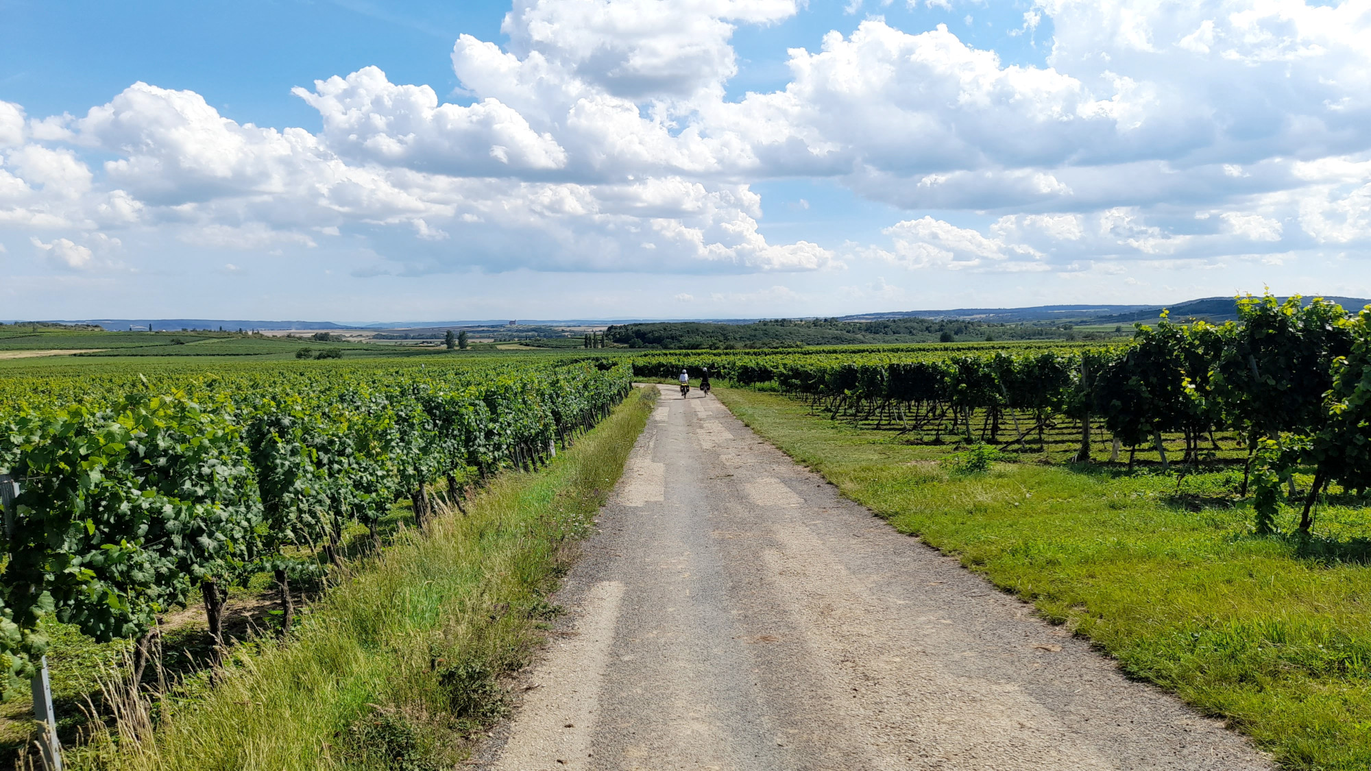 cykloturistika-Pulkau