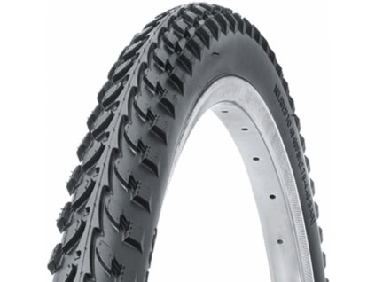 ralson 26x195 r5602 acer 1