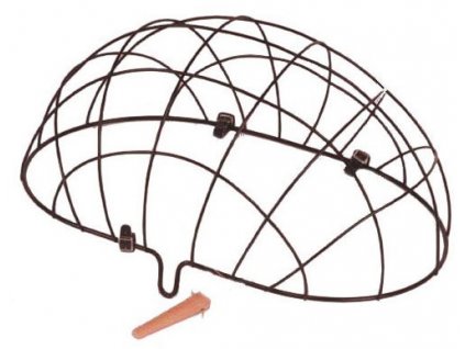 basil pluto dog 478274 01