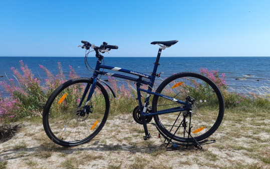 Ze składanym rowerem w kamperze