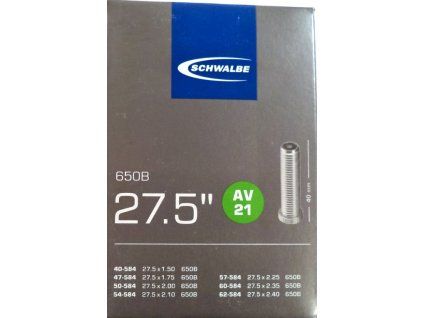 schwalbe av21