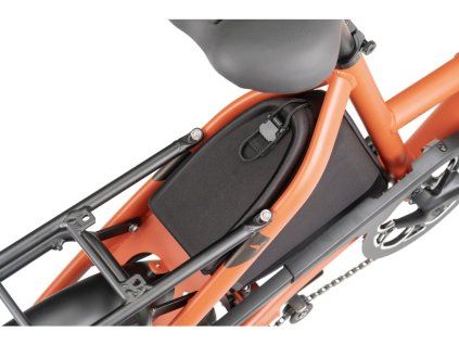 tern carryall trunk