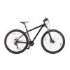 MTB 29 MAXBIKE Taal 17