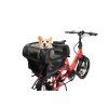 20217 4 striska tern dog roof mini