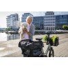 20217 6 striska tern dog roof mini
