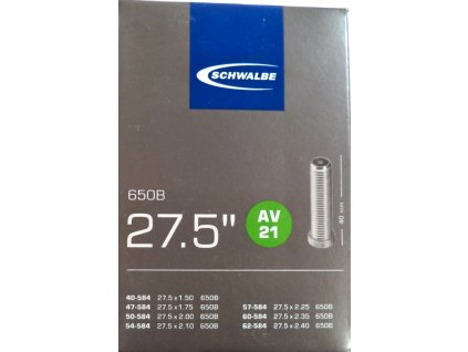 schwalbe av21