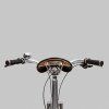 20436 2 brooks c17 special organic alu frame copper