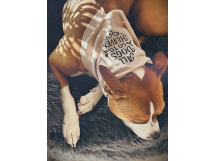 šátek nejen pro psa