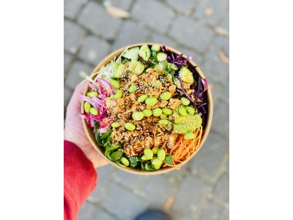 Menu 1: Poke s Kuracím mäsom