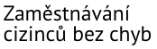 cizinci.eu